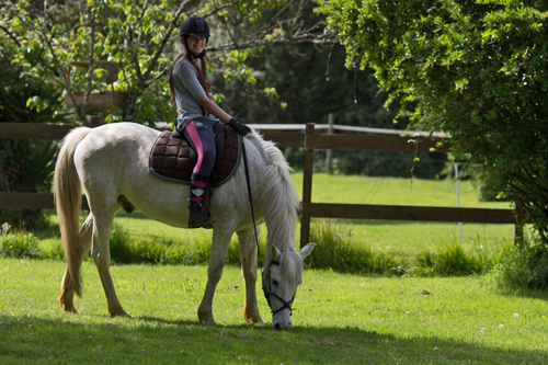 Barbotan cheval
