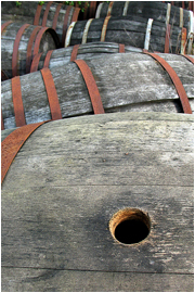 barbotan-armagnac-016