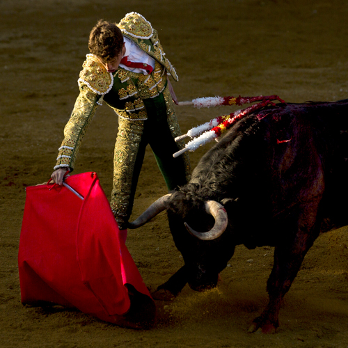 corrida-500-001