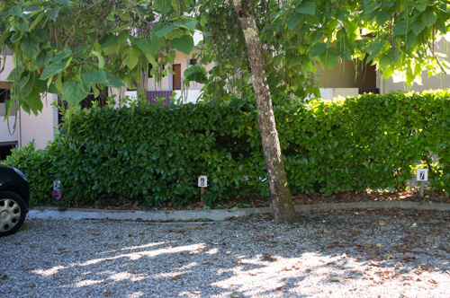arbres-parking-001