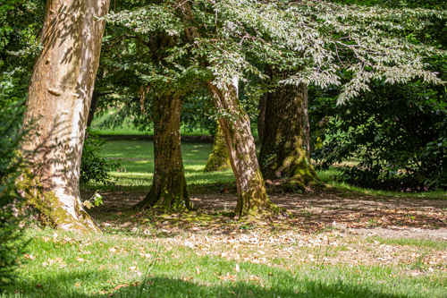 Parc-11